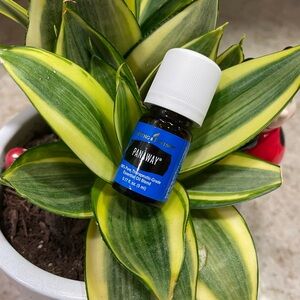 Young Living PanAway Essential Oil